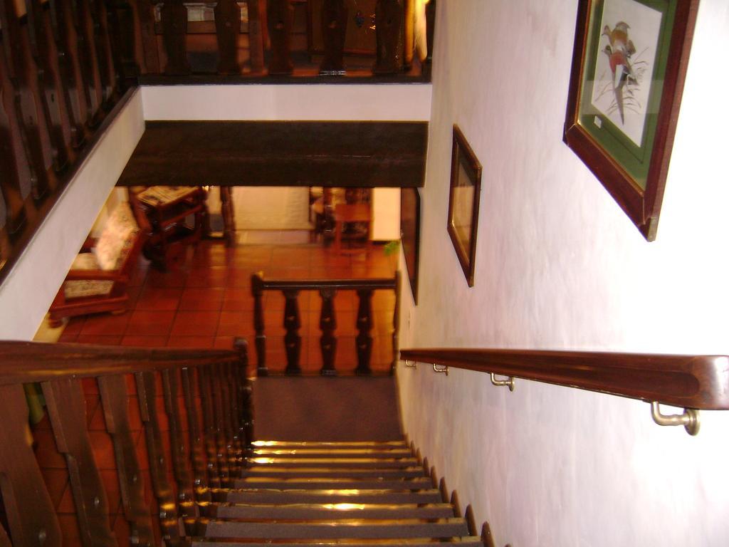 Hosteria La Masia San Martín de los Andes Kültér fotó